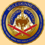 10th-Spt-Bde-Coin-Side-1-Mu.gif