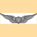 AviationWings.gif