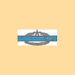 CombatInfBadge2.jpg